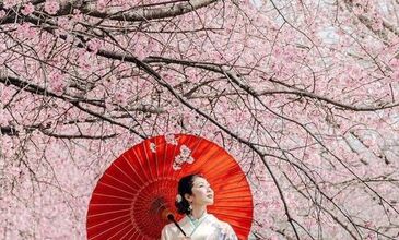 Grand Japonya Turu
