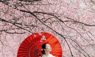 Grand Japonya Turu